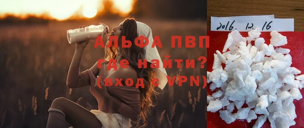 PSILOCYBIN Балабаново